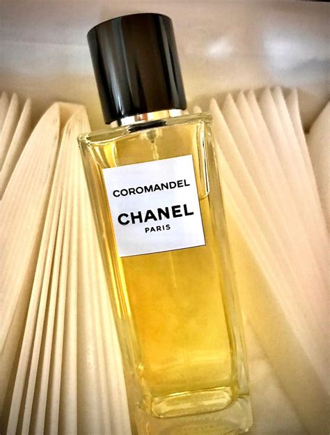 chanel coromandel man|Chanel unisex perfume price.